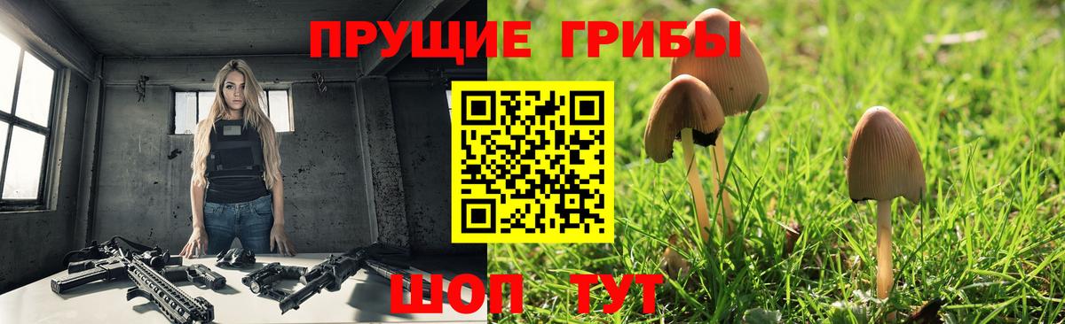 Галлюциногенные грибы Cubensis Боровичи